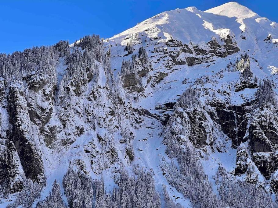 Waterfall View Kandersteg Zewnętrze zdjęcie